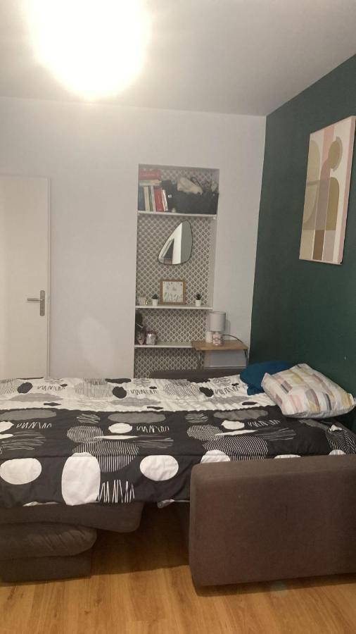 Chambre En Appartement Haussmannien En Centre Ville Saint-Etienne (Loire) Exterior foto